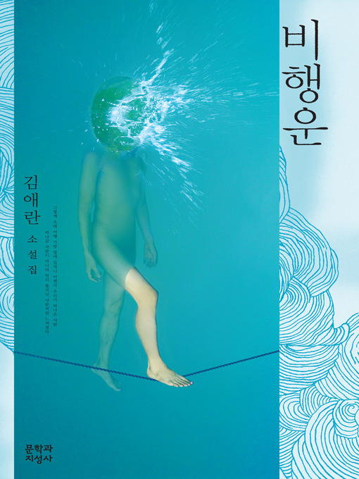 Title details for 비행운 by 김애란 - Available